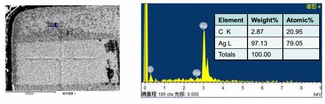 進行EDX分析，確認支架本身不含硫